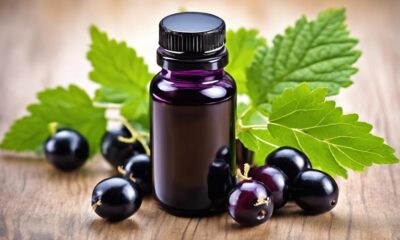 black currant oil supplements