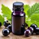 black currant oil supplements