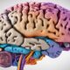 comparing dementia brain scans