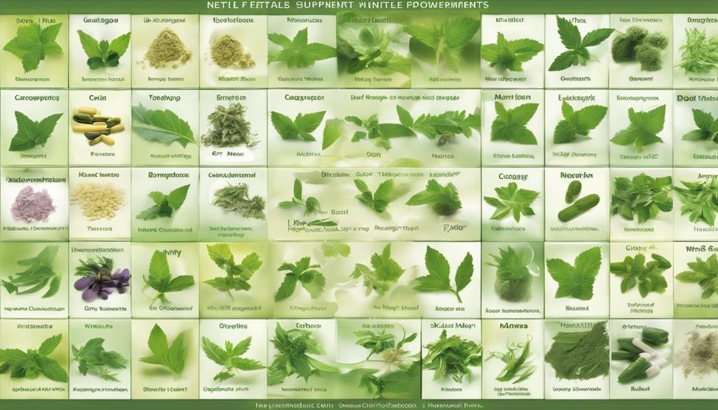 nettle herbal supplement selection
