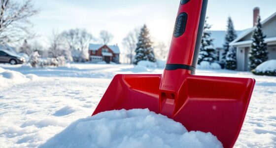 electric snow shovels review