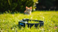 gps collar for cats