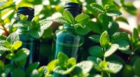 refreshing spearmint essential oils