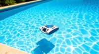 affordable effective pool cleaners