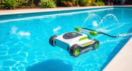 affordable pool cleaner options