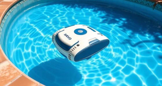 top small pool cleaners