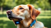 top gps dog collars