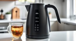 top electric kettles selection
