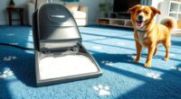 top pet carpet cleaning options