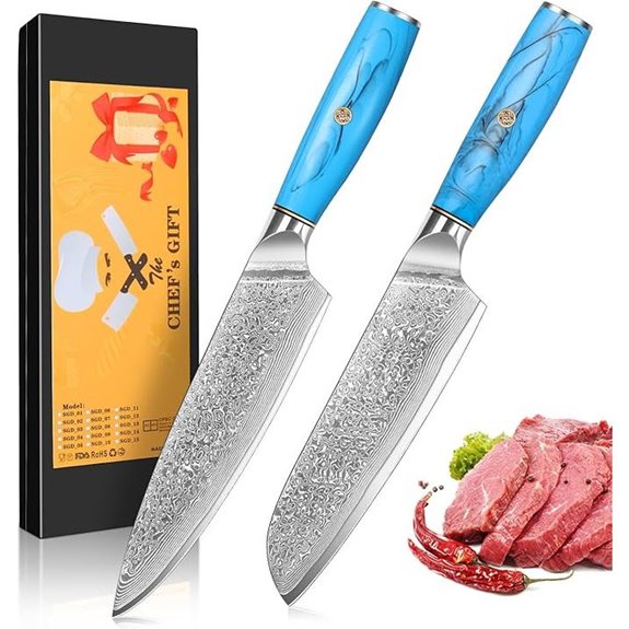 Damascus Chef & Santoku Knife Set with Resin Handles