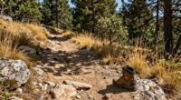 assessing land before building