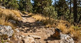 assessing land before building