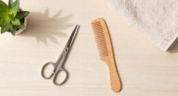 10 Best Senior Care Grooming Kits in 2026