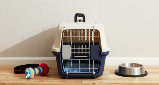 13 Best Airline Approved Pet Carriers in 2026