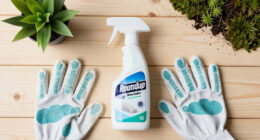 Supreme Court Rejects Lawsuit Against Bayer Alleging Roundup Weedkiller Caused Cancer