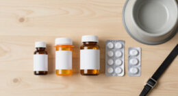 13 Best Pet Prescription Medications in 2026