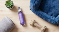 14 Best Dog Calming Products in 2026