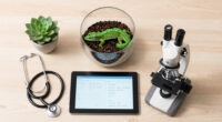 This pet gecko could help scientists unlock the secrets of cancer
