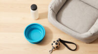 13 Best Travel Pet Bowls and Beds in 2026