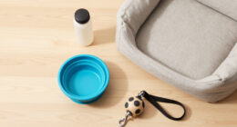 13 Best Travel Pet Bowls and Beds in 2026
