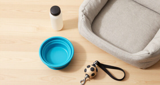 13 Best Travel Pet Bowls and Beds in 2026